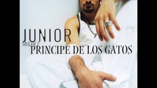 Junior Miguez  Principe De Los Gatos [upl. by Wilscam]