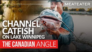 Channel Catfish on Lake Winnipeg  The Canadian Angle [upl. by Ettevy]