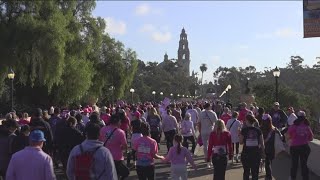 Thousands participate in Susan G Komen More Than Pink Walk 2024 [upl. by Padraic190]