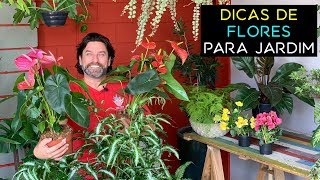 Dicas De Flores Para Jardim [upl. by Alig263]