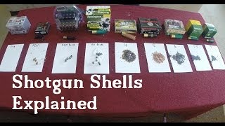 Shotgun Shells Explained [upl. by Nnaeilsel]