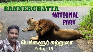 Bannerghatta jungle safari  bannerghatta zoo  bannerghatta national park tour guide in tamil [upl. by Niro958]