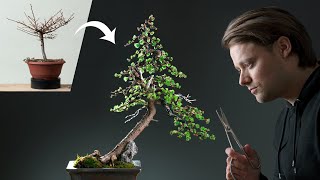 A Japanese Larch Becomes a Bonsai [upl. by Lais]