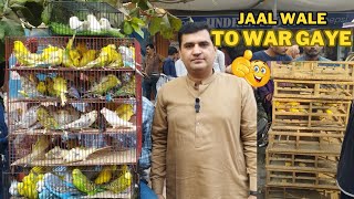 Birds Market Lalukhet Sunday Video Latest Update Sunday Video 21124 in Urdu [upl. by Ribble]