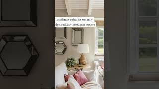 Las mejores ideas para decorar con plantas salones pequeños shorts [upl. by Celinka980]