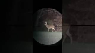 300 YARD SCOPE CAM BUCK [upl. by Irreg]