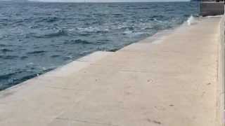 Sea Organ Zadar Croatia [upl. by Una]