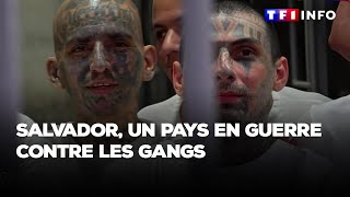 GRAND REPORTAGE  Salvador  un pays en guerre contre les gangs [upl. by Mulac]