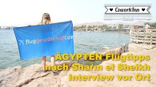 Flüge Ägypten Sharm el Sheikh Interview mit Mira  Johanna aus Dahab [upl. by Mccallion]