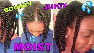 How to Achieve JUICY TWO STRAND TWISTS  BOUNCY MOIST TWISTS  Natural Hair [upl. by Alguire556]