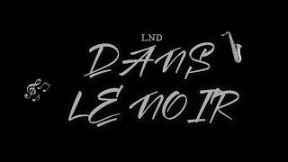 LND DANS LE NOIR [upl. by Kylila]