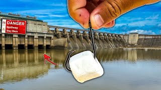 Fishing for Spillway MONSTERS w Unusual Bait BIG Fish [upl. by Ha]