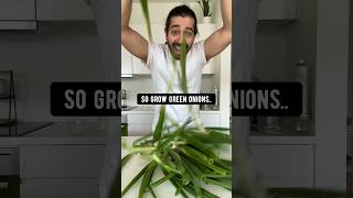 How to Grow NeverEnding Green Onions  creative explained [upl. by Masterson]