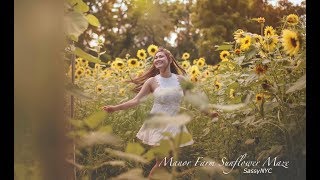 NY 2017 Sunflower Maze at Manor Farm [upl. by Oinafipe]