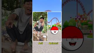 Ketawain Badan Hijau countryballs comedy indonesia [upl. by Ardnasak]