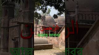 Islamic Gazal  ইসলামিকগজল islamicvideo [upl. by Rydder130]