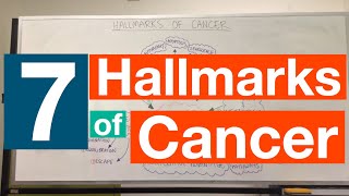 Hallmarks of Cancer  Pathophysiology [upl. by Yodlem783]