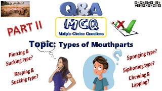 MCQ on types of mouthparts PARTS II [upl. by Ahsienaj]