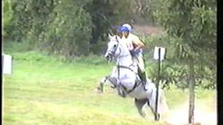 Special Memories trakehner show jumping stallion eventing cross country [upl. by Ahsini]