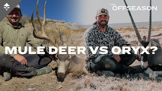 Oryx vs Mule Deer Plus a New Redesign Coming Soon  THE OFFSEASON [upl. by Sillert]