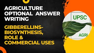 Gibberellins Biosynthesis Role amp Commercial Uses  Agriculture Optional Answer Writing  UPSC [upl. by Ardnazxela631]