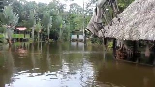 By boat from Moin to Tortuguero Costa Rica [upl. by Lynsey]