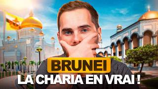 Le Sultanat de Brunei entre Luxe et Charia mon expérience [upl. by Rourke]