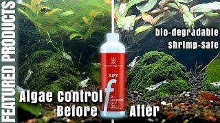 Algae control using APT Fix How to reduce algae growth [upl. by Akemal]