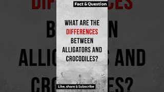 What are the differences between Alligators and Crocodiles [upl. by Perpetua983]