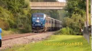 Wassaic Branch Station Hopping [upl. by Calia]