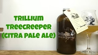 Trillium Treecreeper Citra Pale Ale Review  Ep 643 [upl. by Poppas]