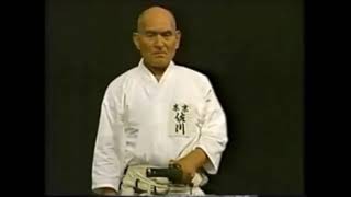 Iaido Okuden Tachiwaza 11 Oikakegiri 追掛斬 Sagawa Hakuo Sensei 9D [upl. by Bambie598]