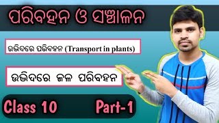 Transportation And Circulation for Class 10 Part1ପରିବହନ ଓ ସଞ୍ଚାଳନ Life Science Chapter 3 [upl. by Aney]