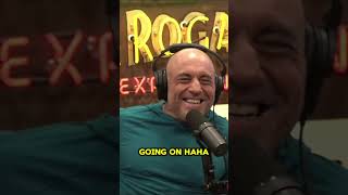 Theo Von amp Joe Rogan What else is going on [upl. by Klina]