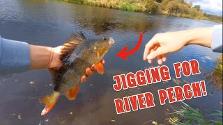 Jigging for river perch with ultra light gear amp trying out the guppie downsize [upl. by Scheer]