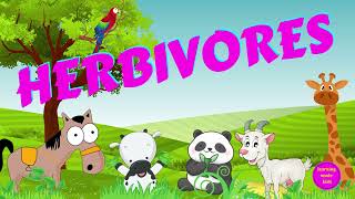 Herbivores  Types of Animals  Science for Kids [upl. by Dnalevets238]