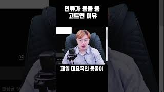 인류가 동물 중 고트인 이유 [upl. by Nicko]