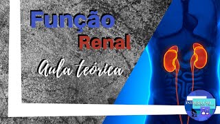 Aula Teórica de Função Renal [upl. by Hildebrandt212]