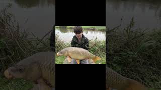 upham fisheries day session 12 out specimen lake most over 15lbs [upl. by Deaner]