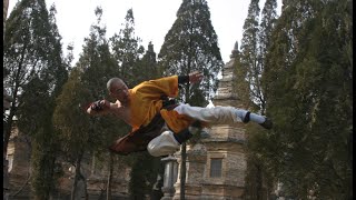 Centro Cutura Shaolin Italia  Maestro Shi Yan Hui [upl. by Zia812]