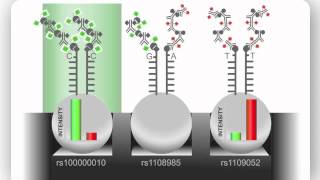 Illumina Infinium Assay An Overview [upl. by Ivor829]