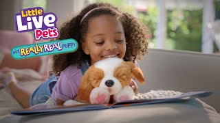 LITTLE LIVE PETS I REALLY REAL PUPPY TVC I 30 [upl. by Yhtrod]