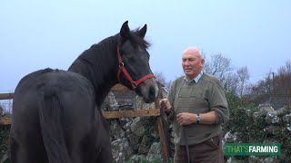 Connemara Pony Breeder  Jimmy Canavan [upl. by Yenrab356]