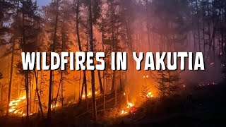 WILDFIRES IN YAKUTIA SIBERIA  SAVEYAKUTIA [upl. by Idelia]