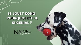 Le jouet Kong  pourquoi estil si génial [upl. by Lightfoot]