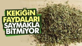 Kekiğin İnanılmaz Faydaları Şaşıracaksınız [upl. by Marlo510]