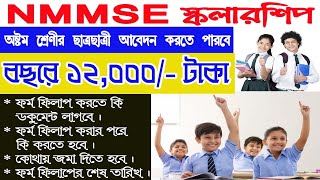 NMMSE SCHOLARSHIP ONLINE APPLICATION 2024  CLASS 8 SCHOLARSHIP EXAM FORM FILLUP  HOW TO APPLY NMMS [upl. by Arabelle]