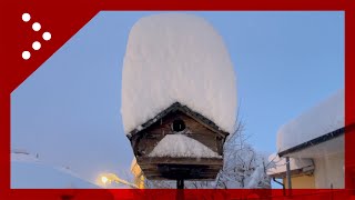 Pennabilli il risveglio sotto oltre un metro di neve sullAppennino Riminese [upl. by Odrarej]