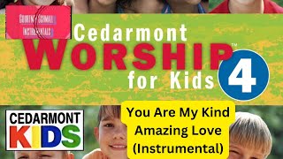 Cedarmont Kids You Are My Kind Amazing Love Instrumental [upl. by Yenetruoc18]