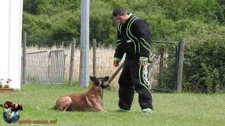 2015  Championnat Ring des DomTom à Domérat  Fougas du Vieux Marronier  Guy Flambeau [upl. by Olihs537]